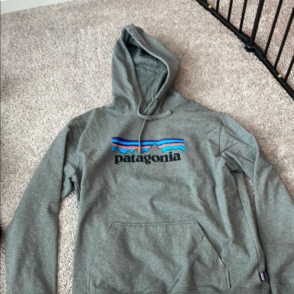 Patagonia Gray Hoodie with Logo